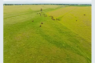1010 County Road 382, Era, TX 76238 - Photo 26