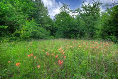 1774 County Road 3562, Dike, TX 75437 - Photo 20