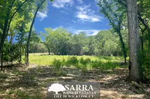 Lot 50 Wicklow Ct, Poolville, TX 76487 - Photo 1