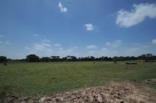806 N Fm 1752, Savoy, TX 75479 - Photo 28