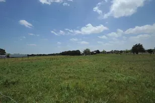 806 N Fm 1752, Savoy, TX 75479 - Photo 6