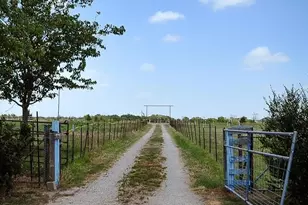806 N Fm 1752, Savoy, TX 75479 - Photo 2