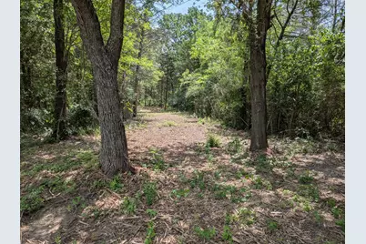 110 Vz County Road 1129, Fruitvale, TX 75127 - Photo 4