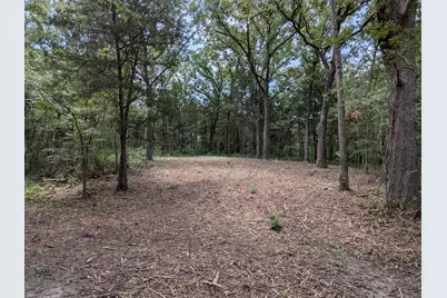110 Vz County Road 1129, Fruitvale, TX 75127 - Photo 2