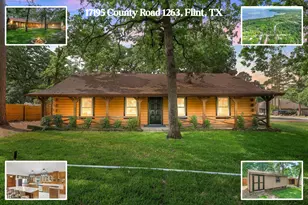 17195 County Rd 1263, Flint, TX 75762 - Photo 1