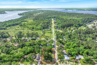 17195 County Road 1263, Flint, TX 75762 - Photo 4