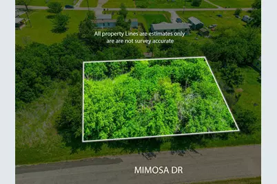 4507 Mimosa Drive, Granbury, TX 76048 - Photo 1