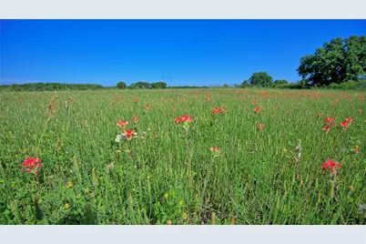 433 Fruitland Road, Bowie, TX 76230 - Photo 22