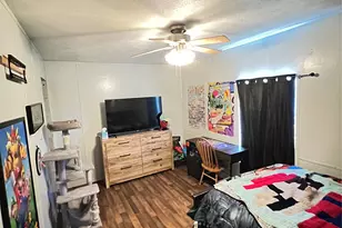 4215 Lanark Dr, Cresson, TX 76035 - Photo 10