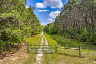 980 Co Rd 2619, Marietta, TX 75566 - Photo 2