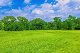 12414 Rock Creek Rd, Waco, TX 76708 - Photo 10