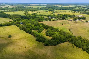 479 County Rd 27450, Honey Grove, TX 75477 - Photo 16