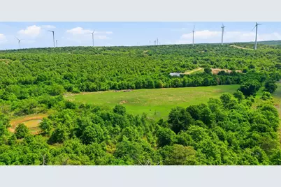3180 Rock Creek Road, Jacksboro, TX 76458 - Photo 8