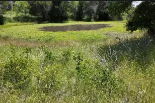 932 FM 3137, Palo Pinto, TX 76484 - Photo 34