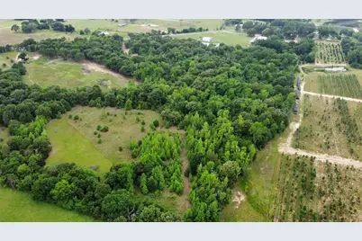 23551 State Highway 19, Canton, TX 75103 - Photo 10