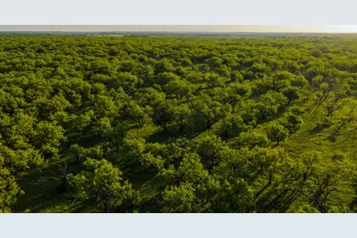 10000 Fm 209, Graham, TX 76450 - Photo 34