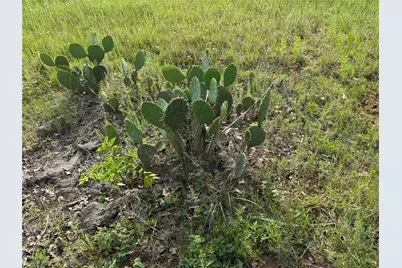 Tbd 10 Acres Co Rd 4055, Kemp, TX 75143 - Photo 10