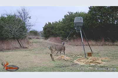 5636 Fm 56, Clifton, TX 76634 - Photo 38