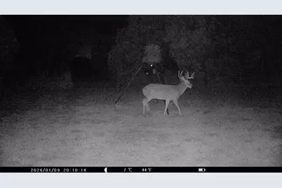 5636 Fm 56, Clifton, TX 76634 - Photo 34