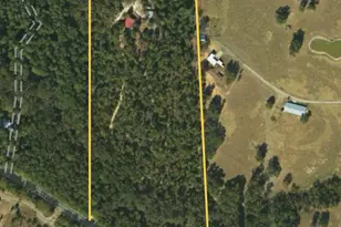 4073 E Fm 852, Winnsboro, TX 75494 - Photo 40