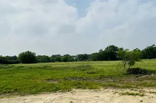 1054 Dove Hill Branch, Weatherford, TX 76088 - Photo 12