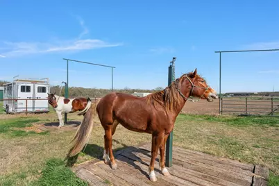 399 Satin Rd, Chilton, TX 76632 - Photo 26