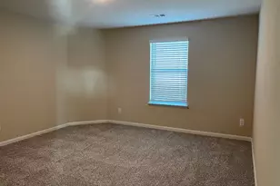 311 Clear Springs St, Princeton, TX 75407 - Photo 18