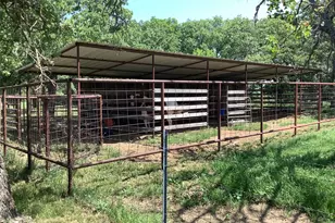 1625 Co Rd 281, Carbon, TX 76435 - Photo 12