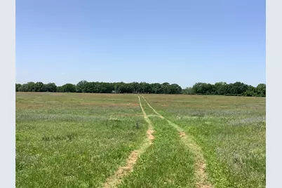 1625 County Road 281, Carbon, TX 76435 - Photo 6