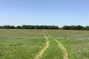 1625 Co Rd 281, Carbon, TX 76435 - Photo 6