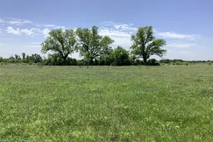 1625 Co Rd 281, Carbon, TX 76435 - Photo 4