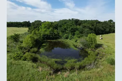 7188 Fm 1567 W, Miller Grove, TX 75433 - Photo 6