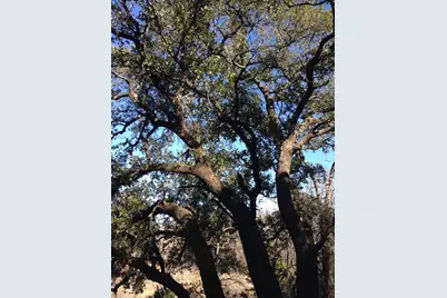 Lot 694 Balcones Lane, Possum Kingdom Lake, TX 76449 - Photo 1
