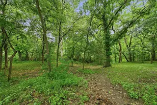 31 Forest Hills Cir, Gunter, TX 75058 - Photo 38