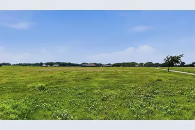 232 La Buena Vida Drive, Gunter, TX 75058 - Photo 12