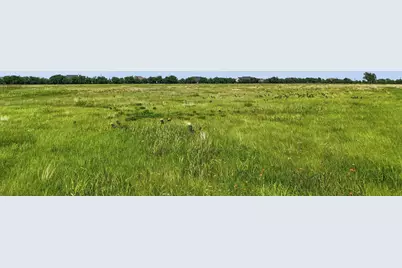 232 La Buena Vida Drive, Gunter, TX 75058 - Photo 20