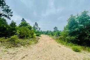 2665 Co Rd 3940, Mineola, TX 75773 - Photo 22