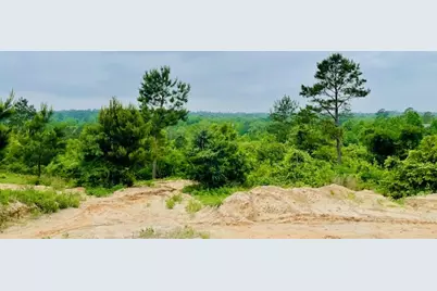 2665 County Road 3940, Mineola, TX 75773 - Photo 1
