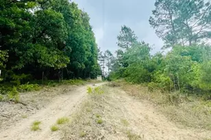 2665 Co Rd 3940, Mineola, TX 75773 - Photo 16