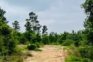 2665 Co Rd 3940, Mineola, TX 75773 - Photo 24