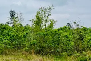 2665 Co Rd 3940, Mineola, TX 75773 - Photo 8