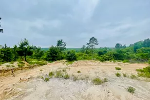 2665 Co Rd 3940, Mineola, TX 75773 - Photo 20