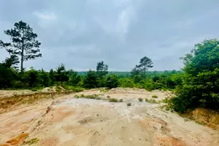 2665 Co Rd 3940, Mineola, TX 75773 - Photo 36