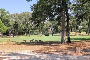 203 St Andrews Dr, Mabank, TX 75156 - Photo 28