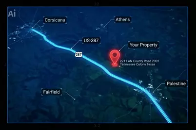 2711 An County Road 2301, Tennessee Colony, TX 75861 - Photo 20