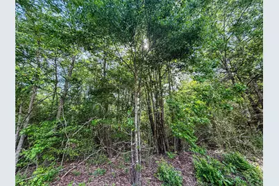 Tbd White Oak Road, Big Sandy, TX 75755 - Photo 22