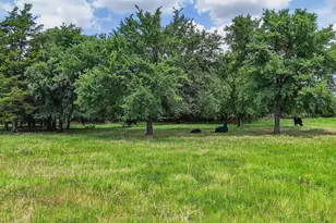 2869 Ranch Rd, Whitesboro, TX 76273 - Photo 32
