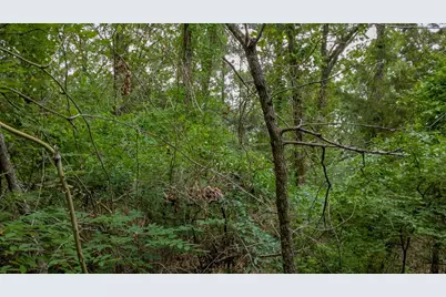 1714 Pineview Lane, Hideaway, TX 75771 - Photo 8