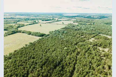 Tbd Cr 2975, Honey Grove, TX 75446 - Photo 18