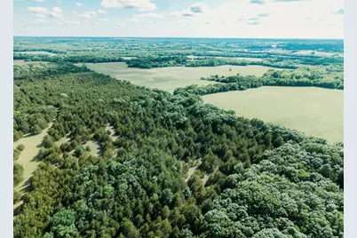 Tbd Cr 2975, Honey Grove, TX 75446 - Photo 22